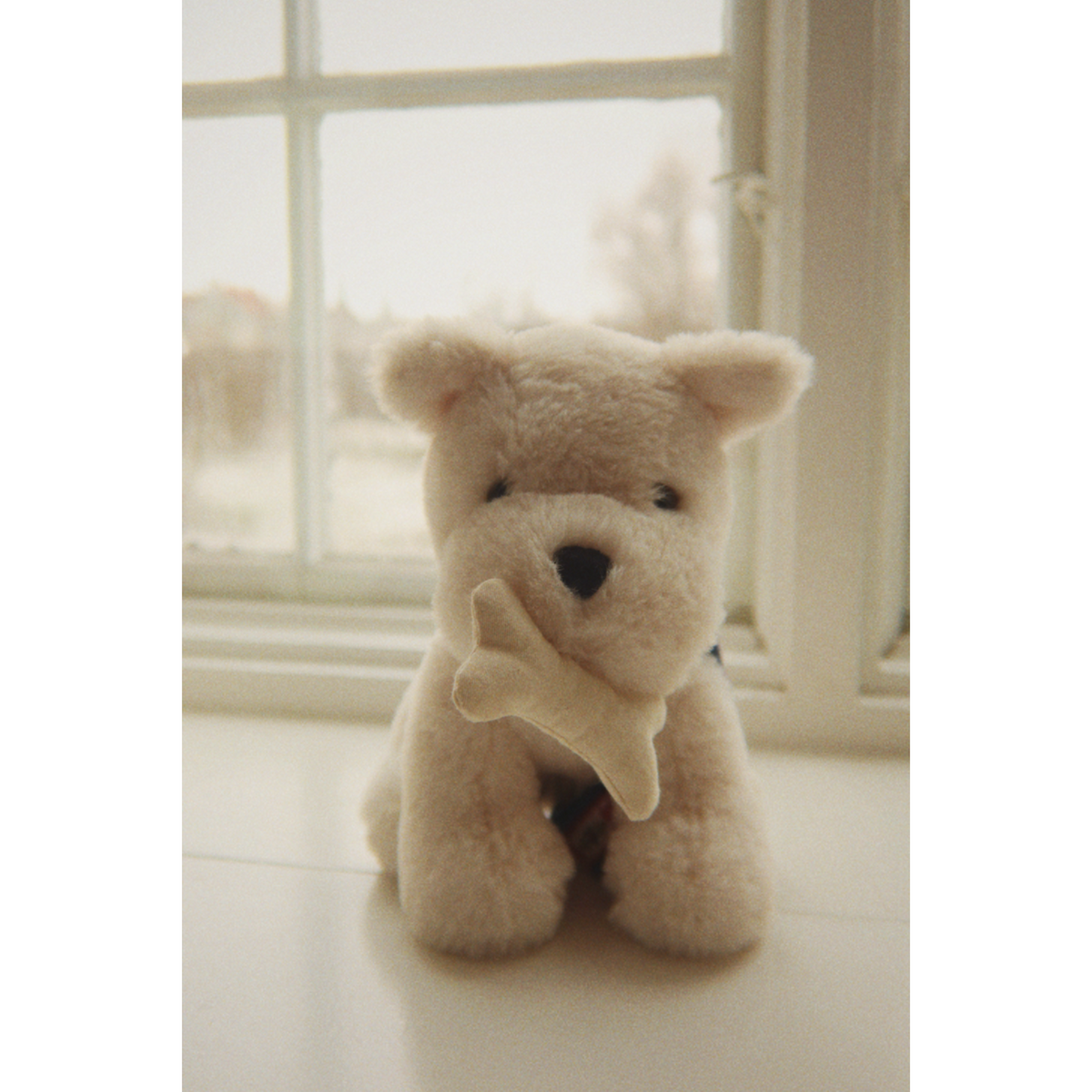 Konges Sløjd Coeur Coloré Terry Puppy