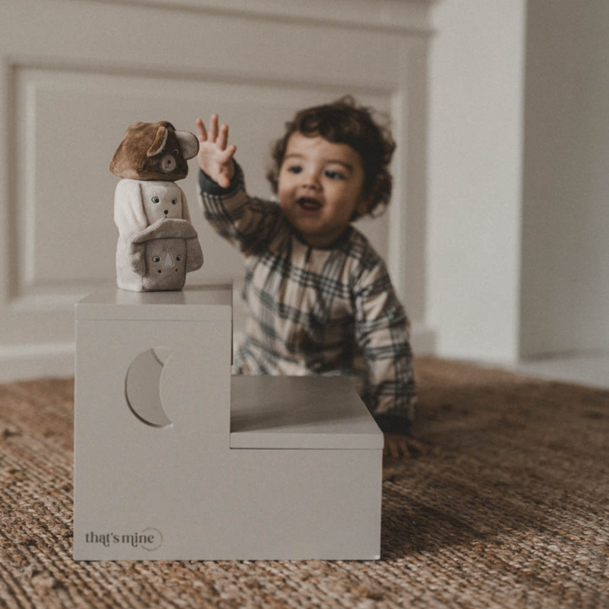 That's Mine Dino, Bear and Bunny Sadie Stacker Blocks