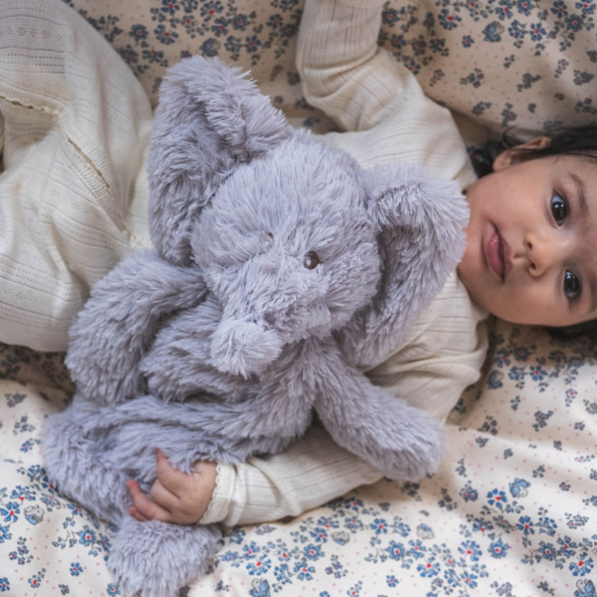 That's Mine Elephant Houston Heavy Teddy Small