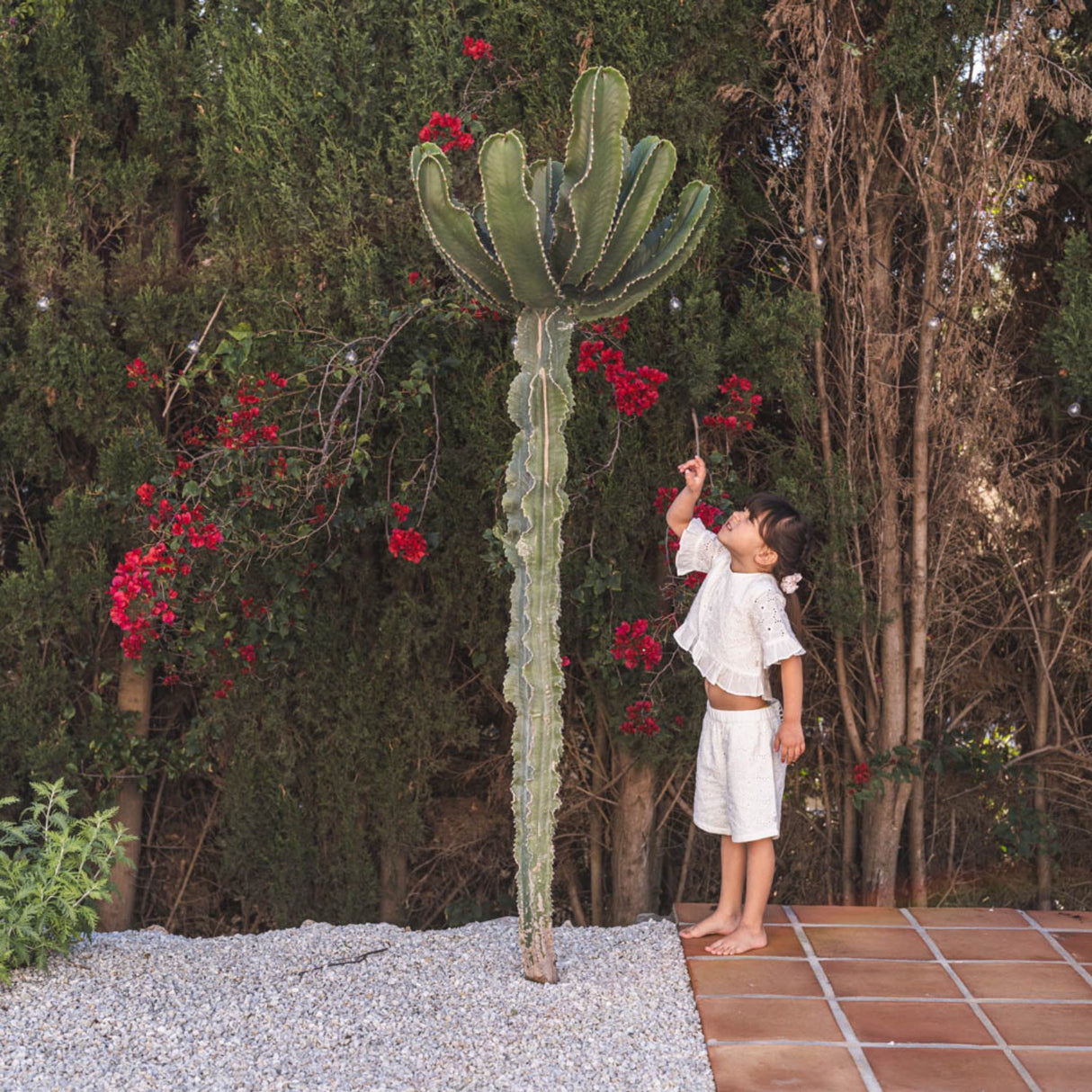 That's Mine Brilliant White Ibbi Shirt