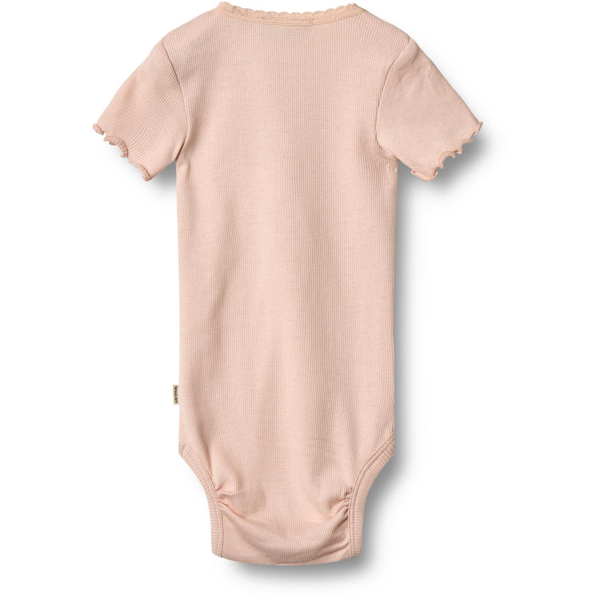 Wheat Powder Rib Body S/S Edna