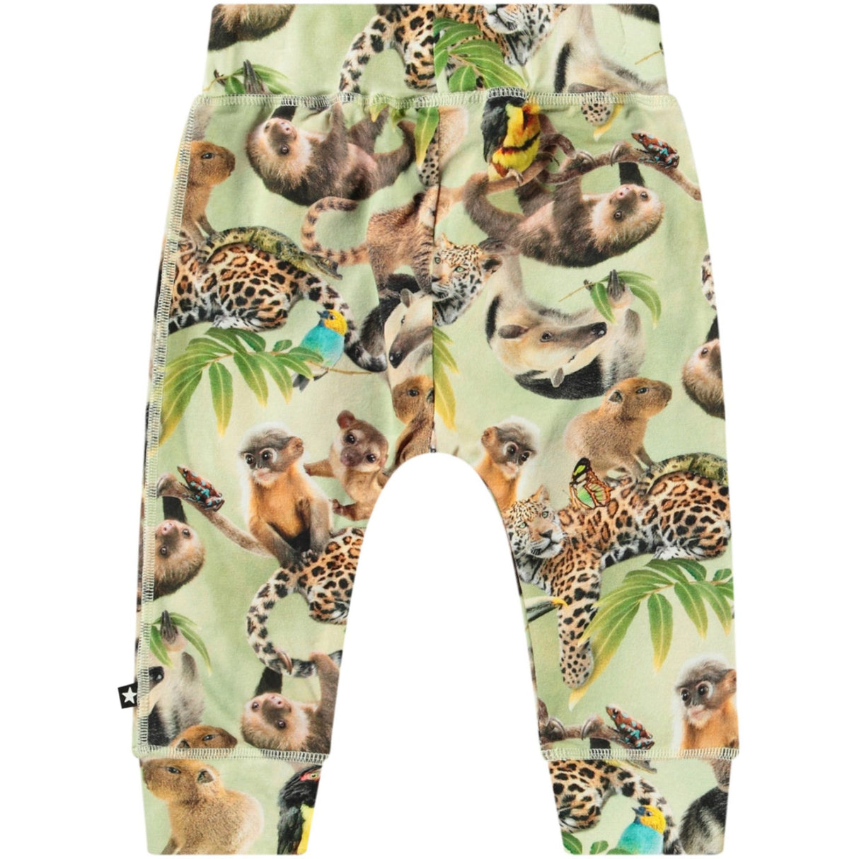 Molo Jungle Cubs Sammy Soft Pants
