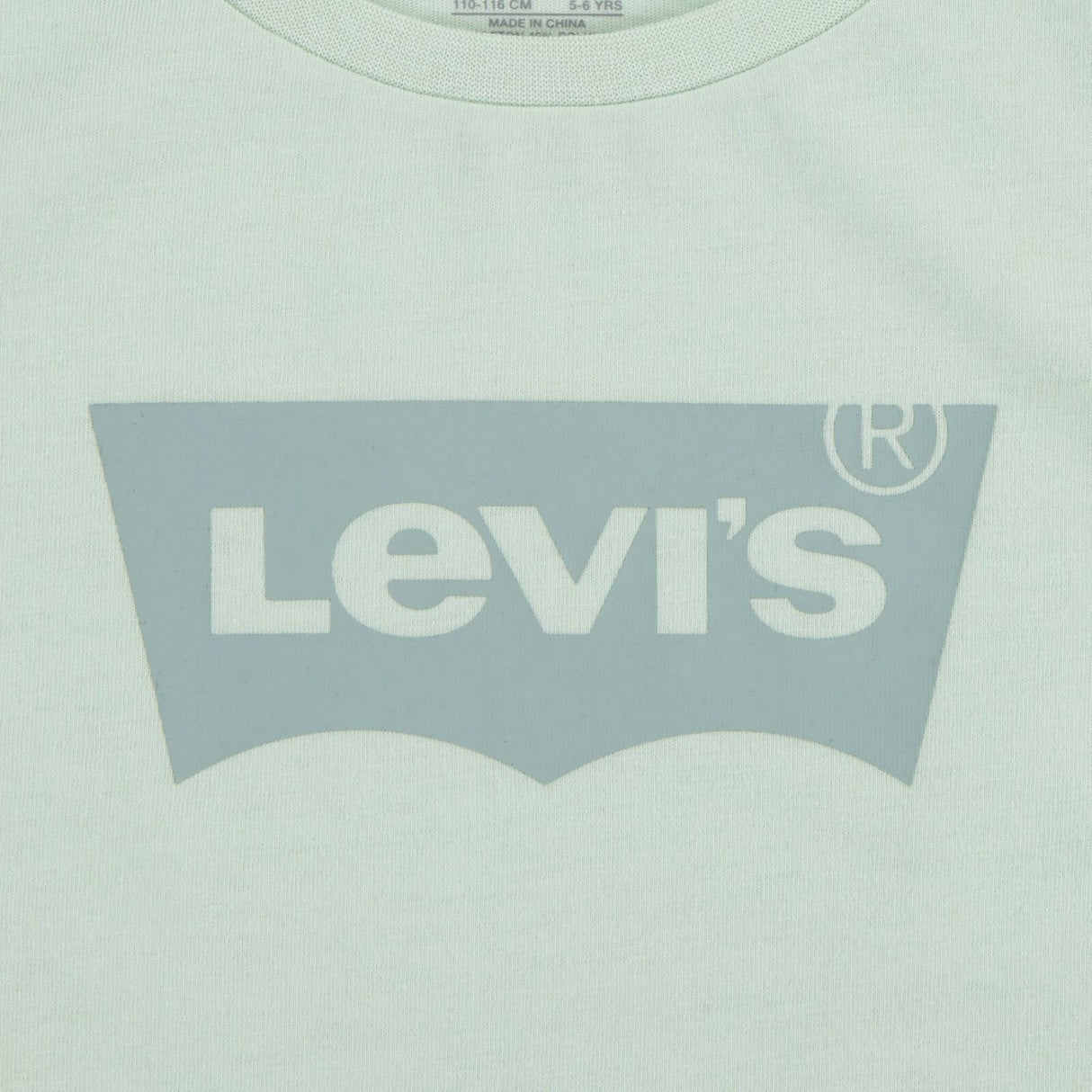 Levi's Celadon Lvg Batwing Tee