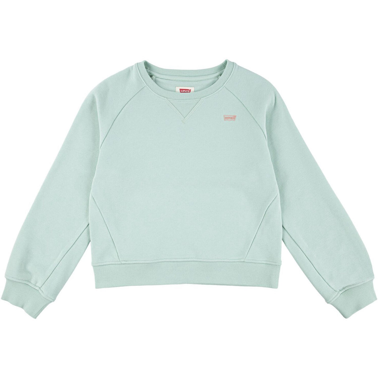 Levi's Celadon Lvg Levis Hd Silicone Batwing Sweatshirt