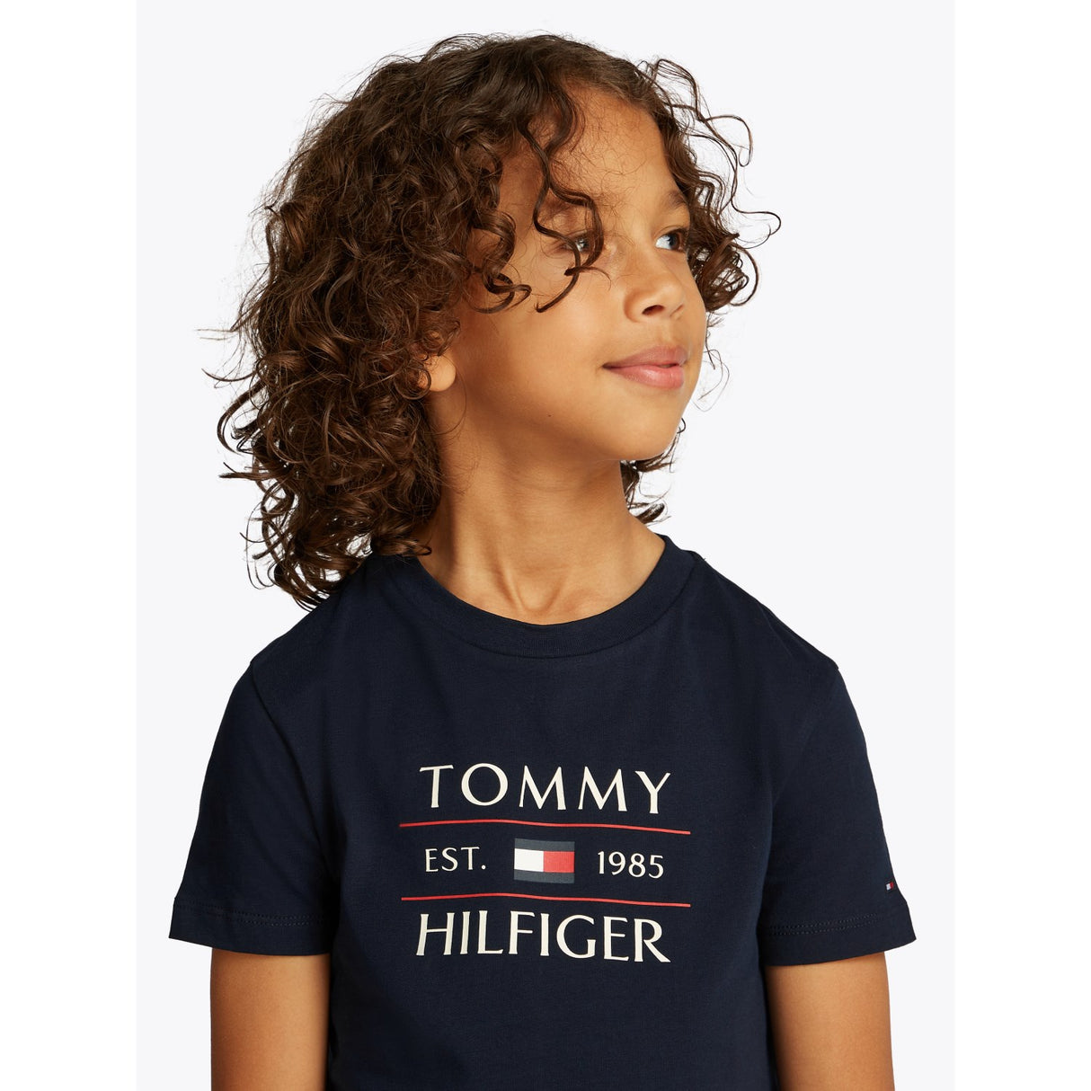 Tommy Hilfiger Dark Night Navy Flag Reg T-Shirt