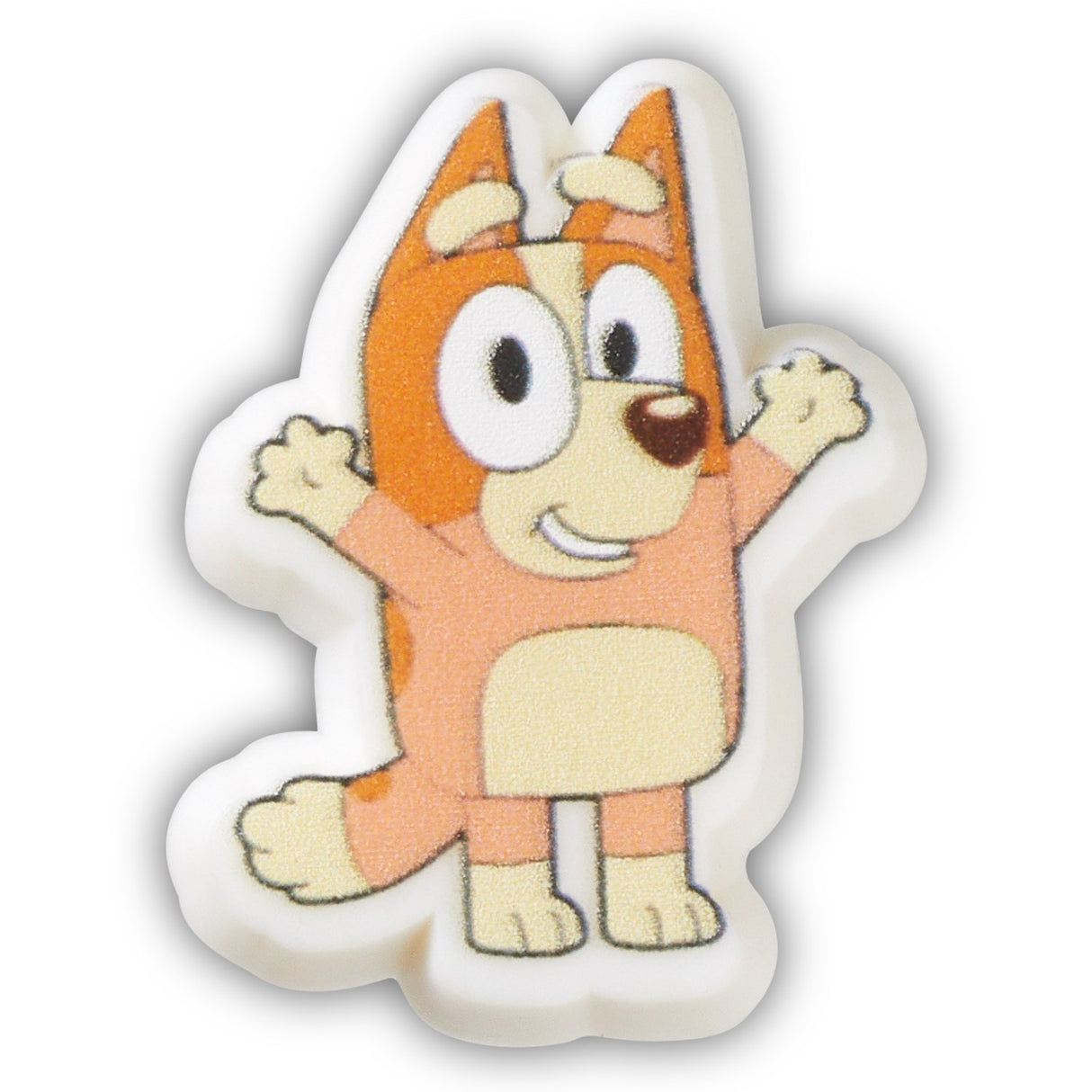 Crocs Jibbitz™ Bingo