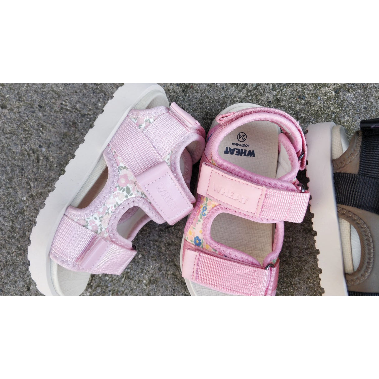 Wheat Multi Flowers Sandal Mandy