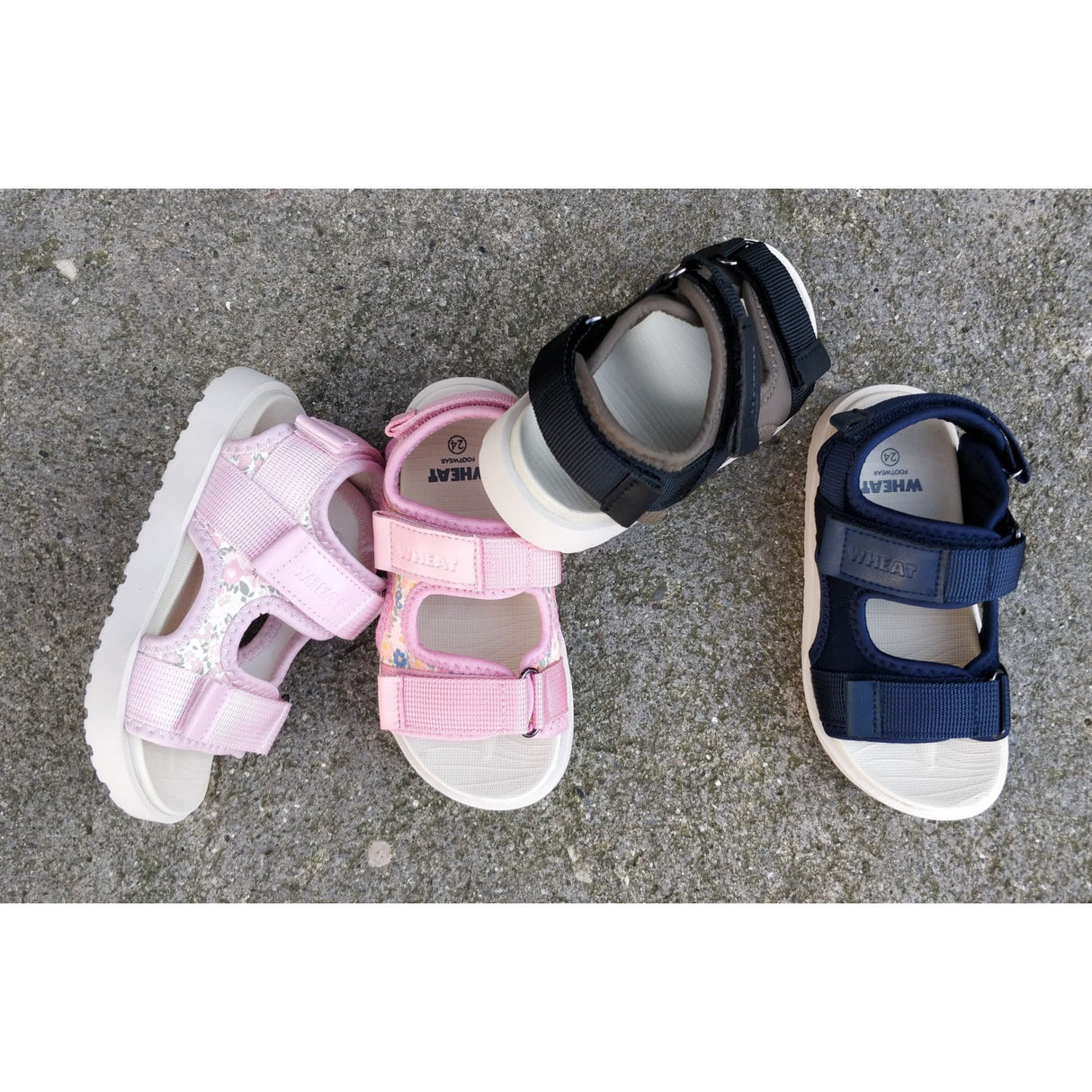 Wheat Dry Pine Sandal Mandy