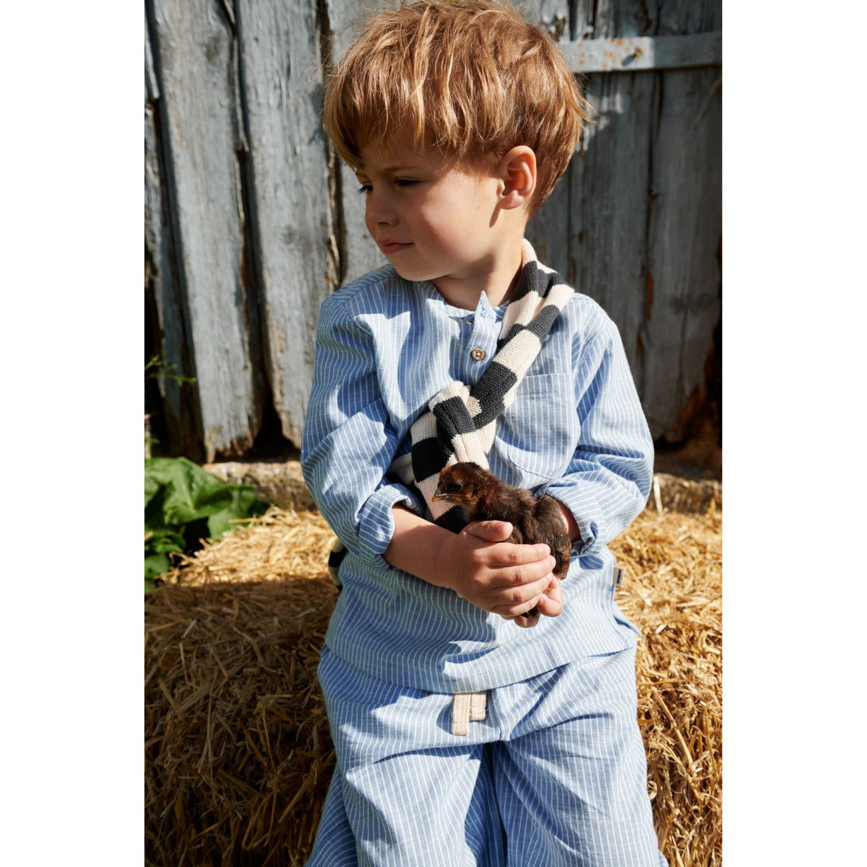 Wheat Blue Stripe Shirt Bjørk