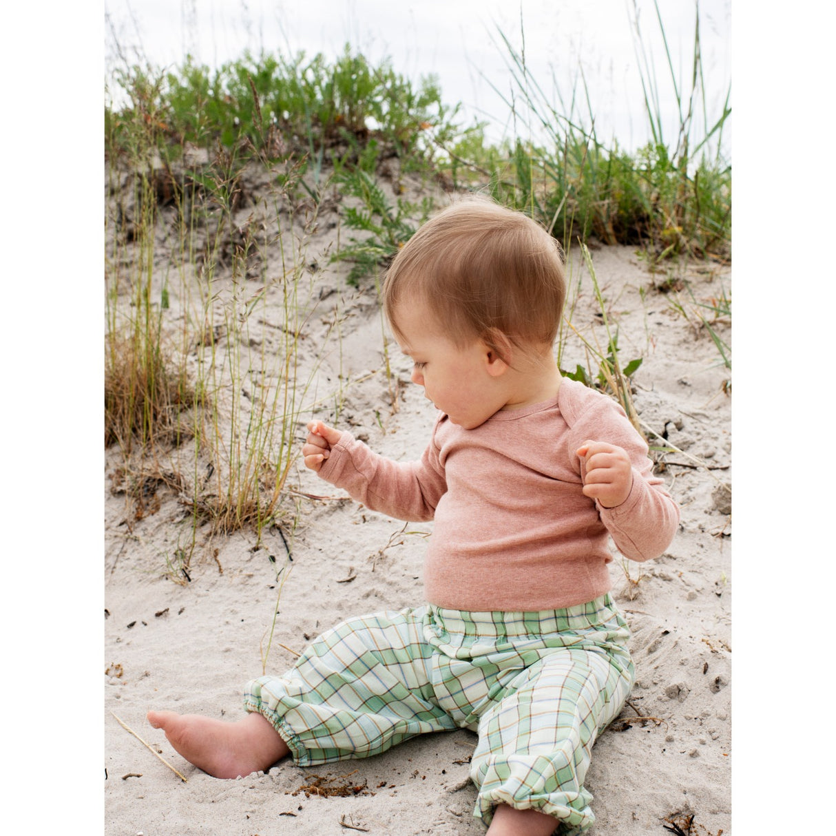 Serendipity Aloe Checks Baby Pants