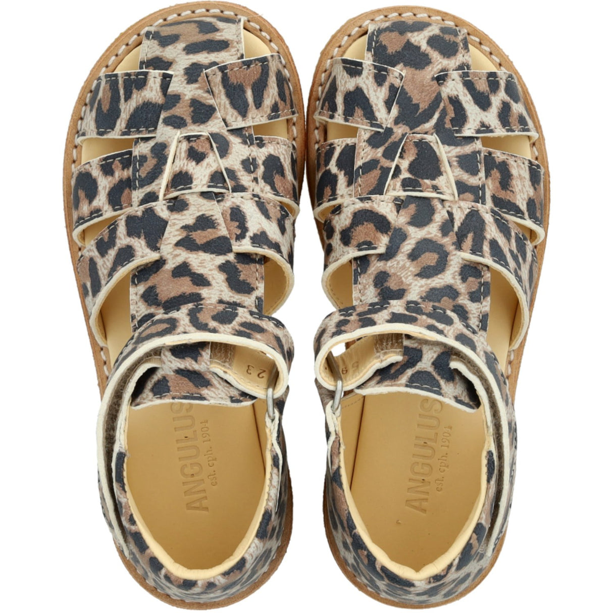 Angulus Leopard suede Beginner Sandal Med Velcro Closure