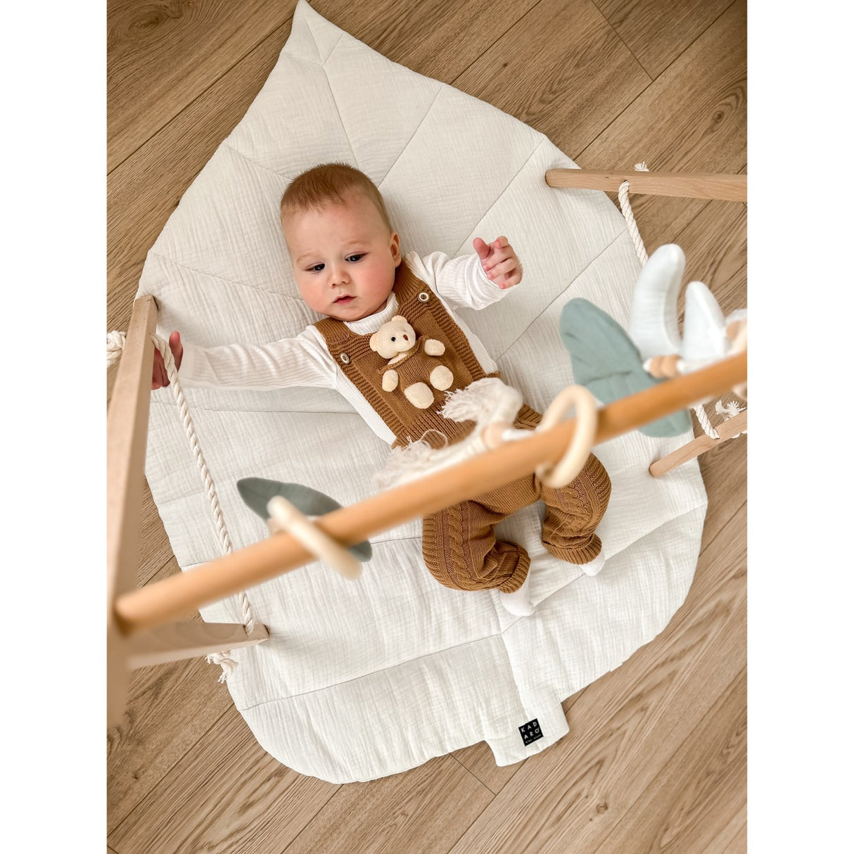Woobiboo With Mint Baby Gym With Hangers
