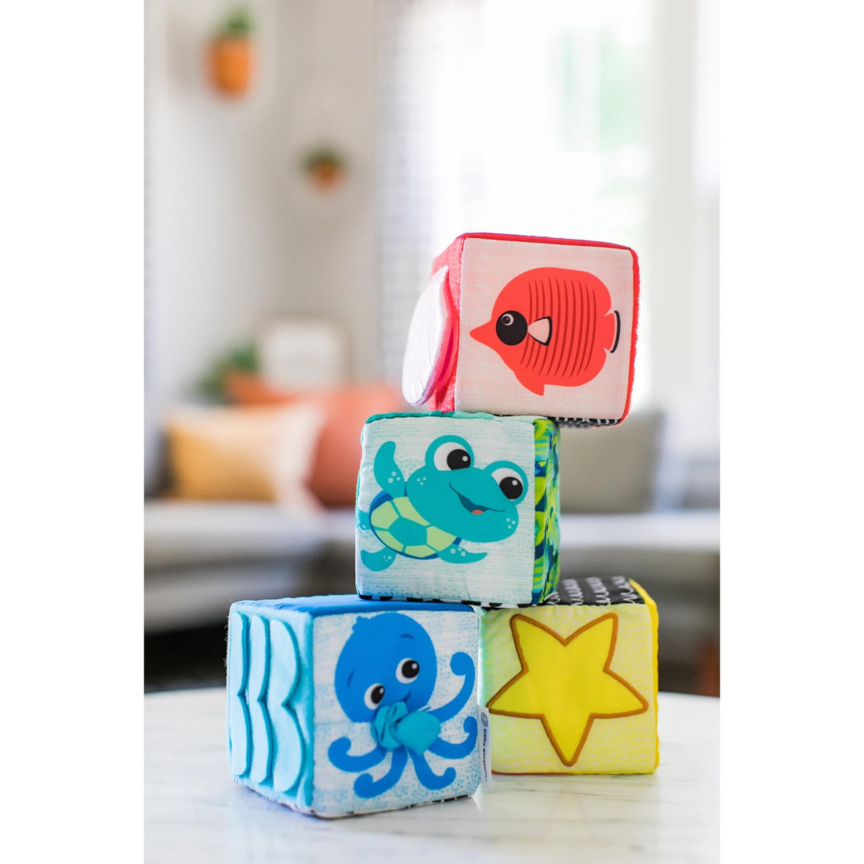 Baby Einstein Explorer & Discover Soft Blocks