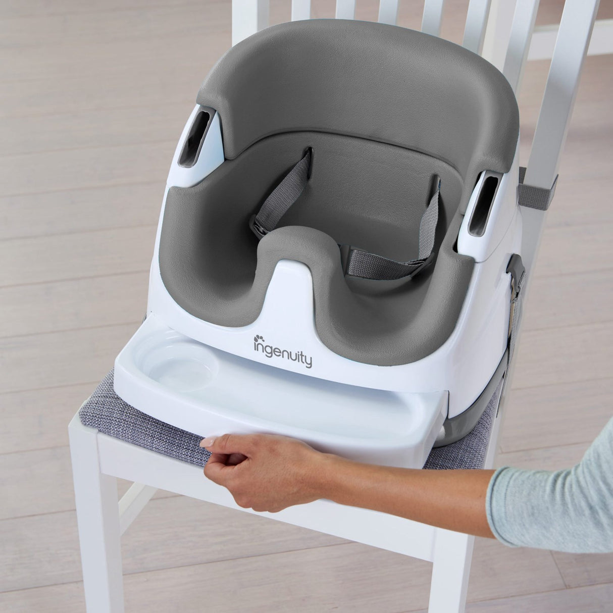 Ingenuity Baby Base 2-In-1 Seat