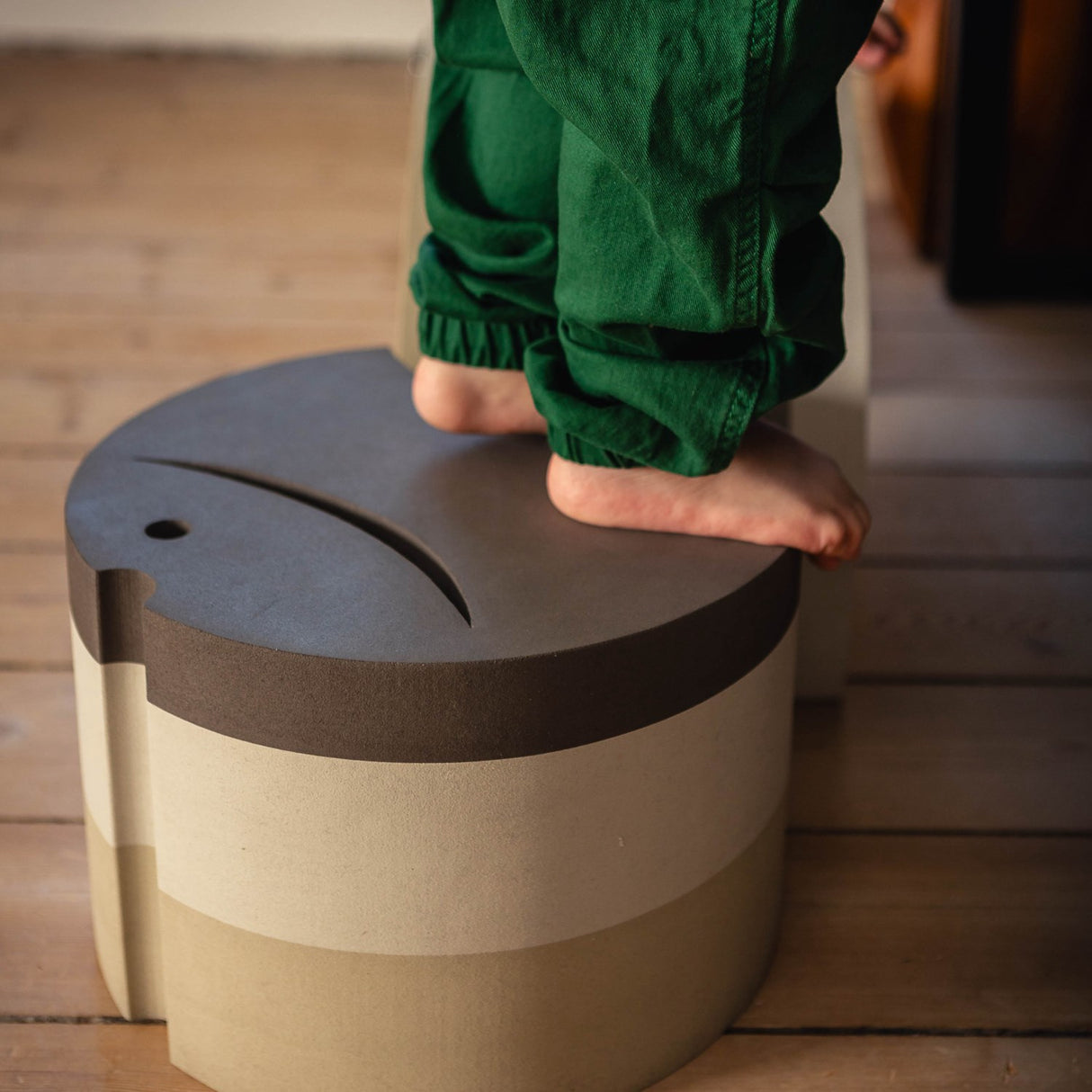 bObles Sand Grey Fish