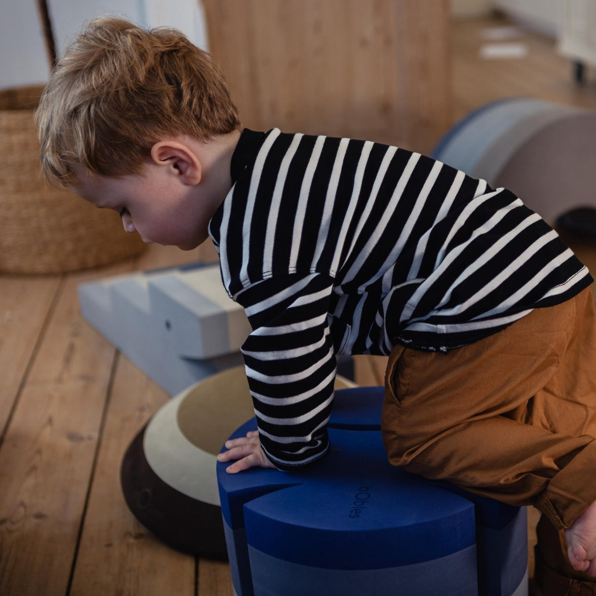 bObles Cloudy Blue Fish