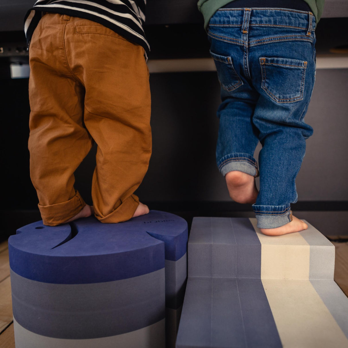 bObles Cloudy Blue Fish