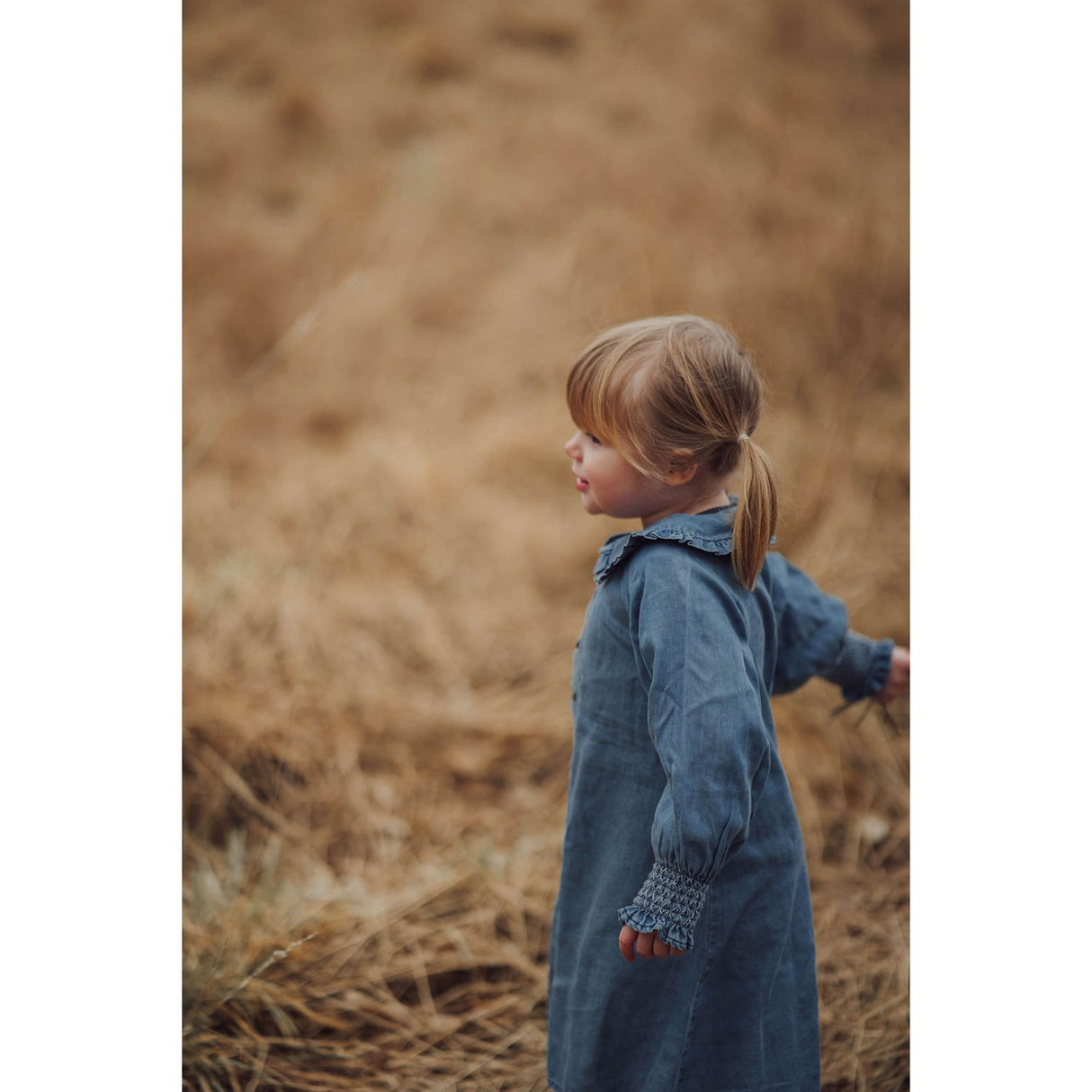 Fliink Dream Blue Balou Dress