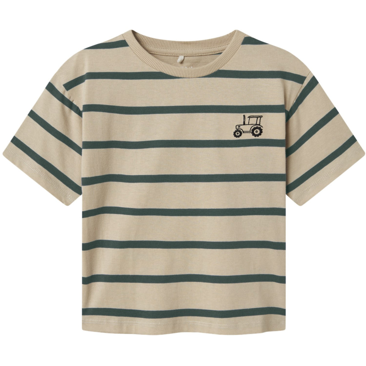 Name It Peyote Garden Topiary Nmmlavon Ss Rlx Top