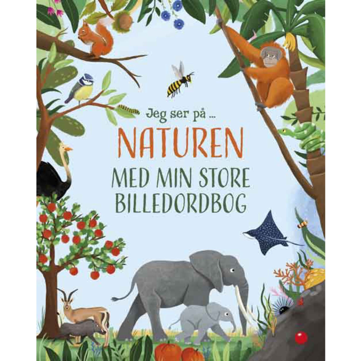 Forlaget Bolden Jeg Ser På: Naturen With Min Store Billedordbog