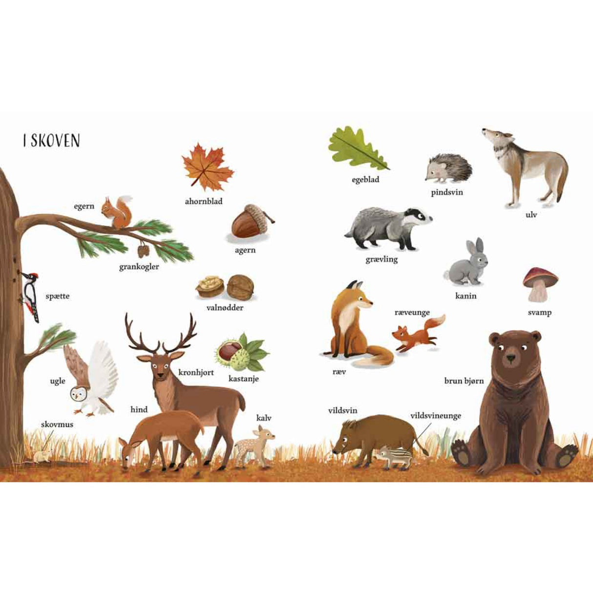 Forlaget Bolden Jeg Ser På: Naturen With Min Store Billedordbog