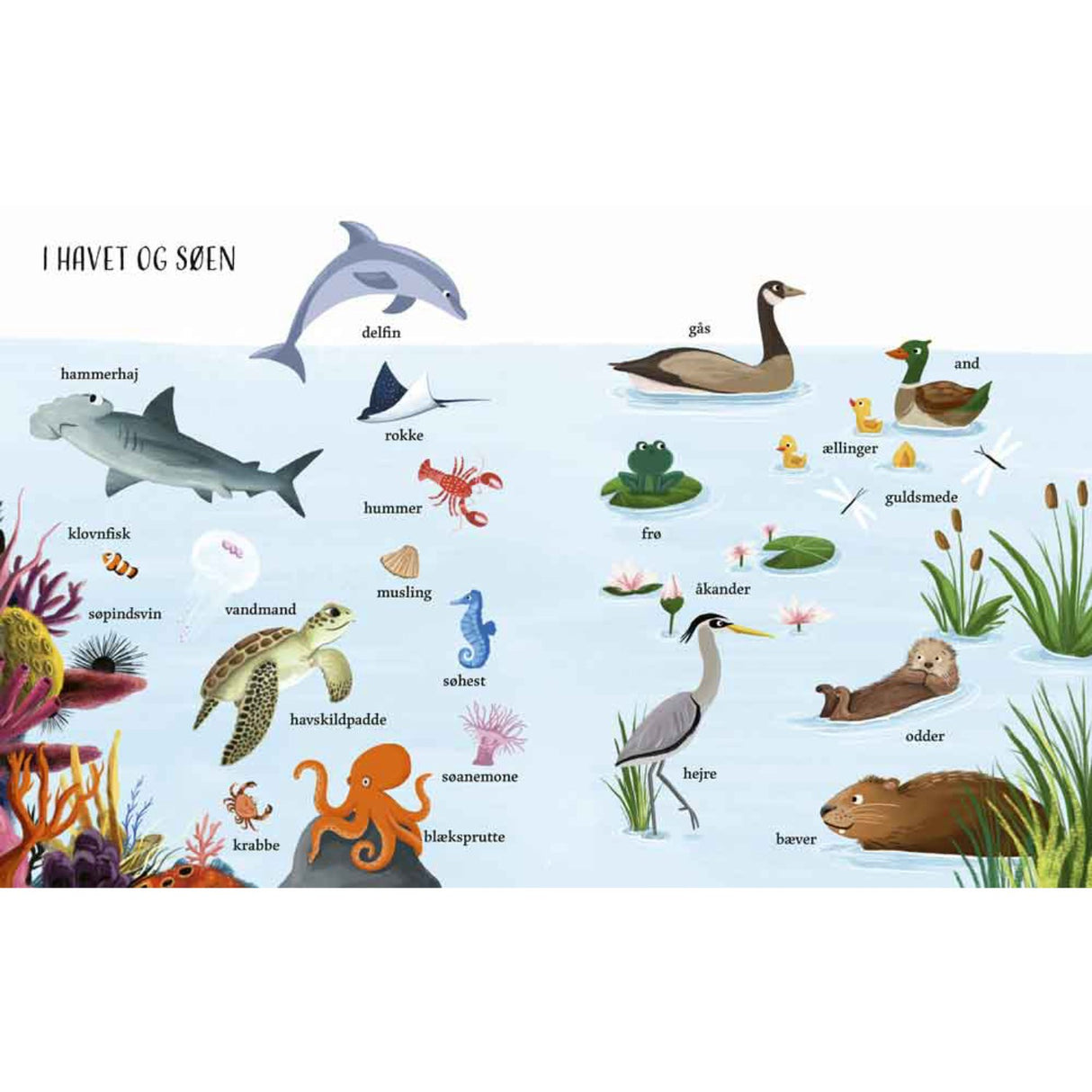 Forlaget Bolden Jeg Ser På: Naturen With Min Store Billedordbog