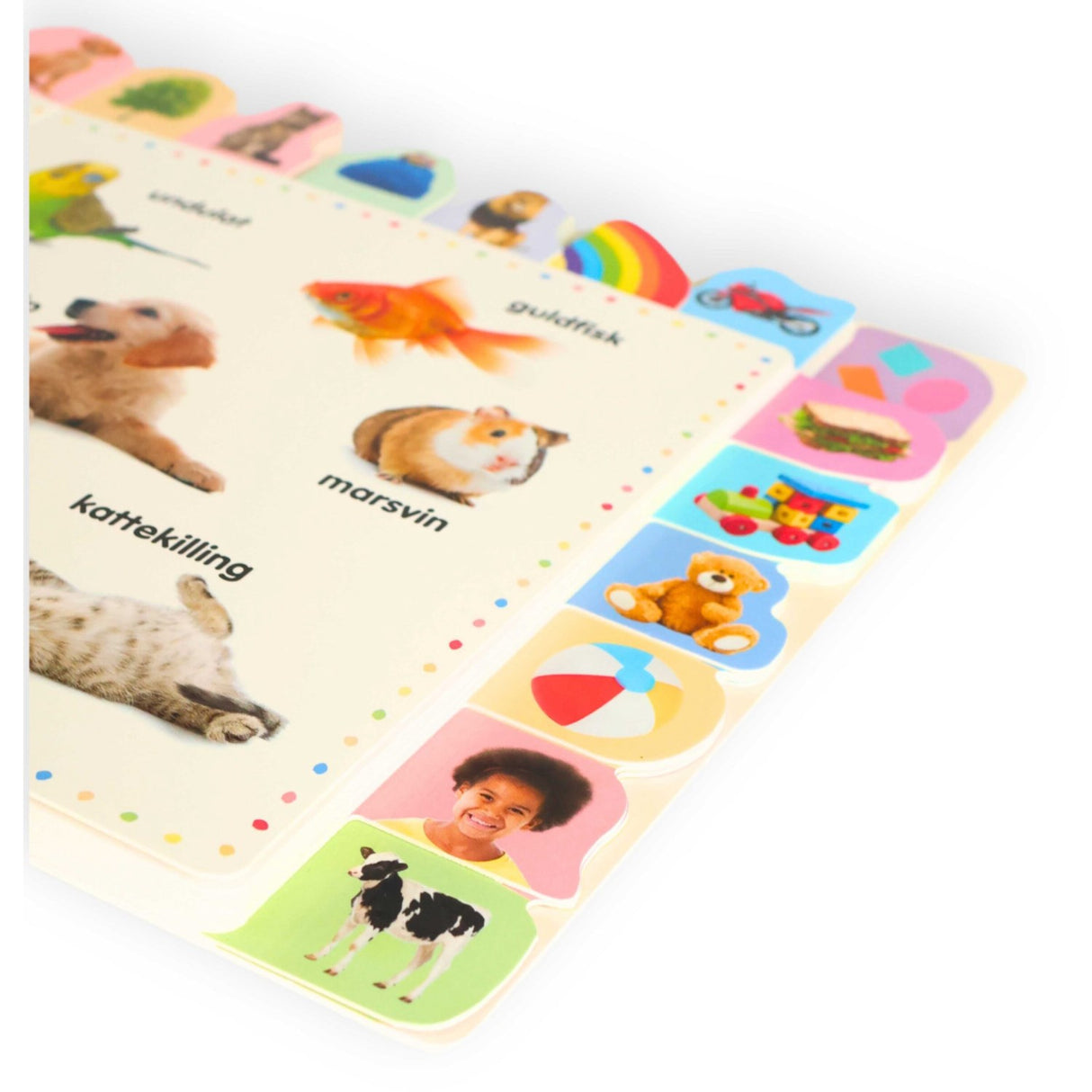 Forlaget Bolden Lær De Første 100 Ord