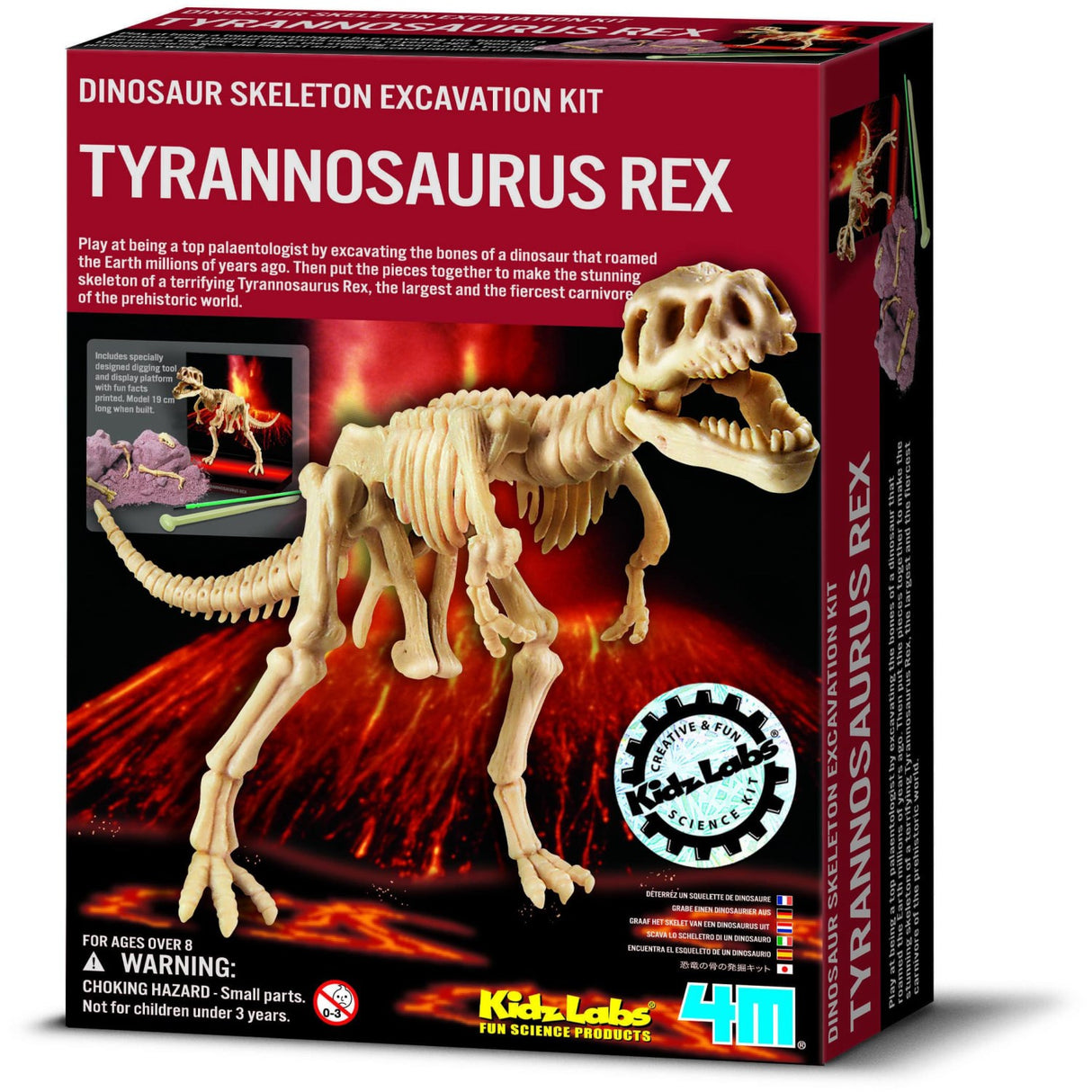4M Kidz Labs/Dig A T-Rex Skeleton