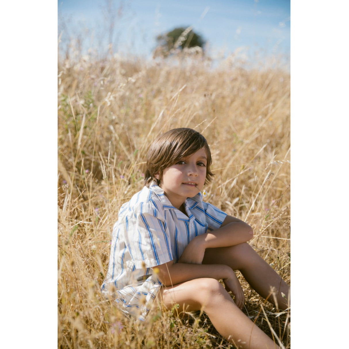 MarMar Cotton Stripes Chambray Stripe Pina Shorts