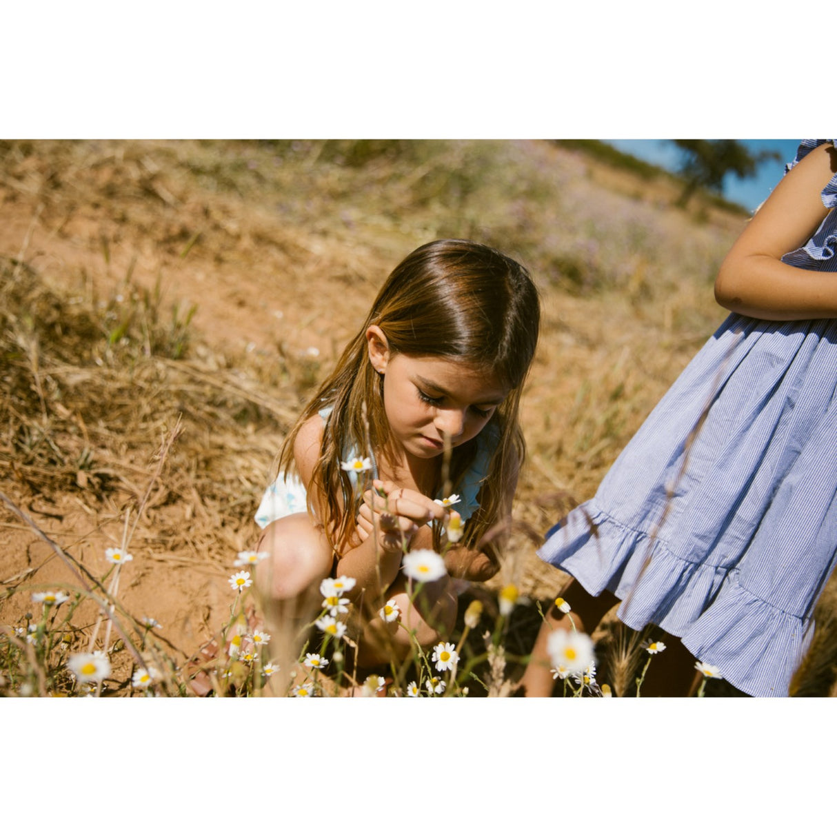 MarMar Fine Cotton Navy Stripe Danita Frill Dress