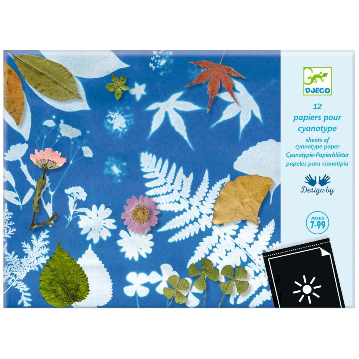 Djeco Cyanotype, Paper