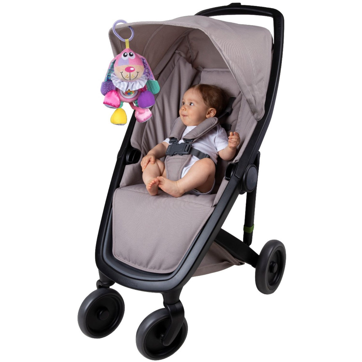 PlayGro Activity Dog Pink