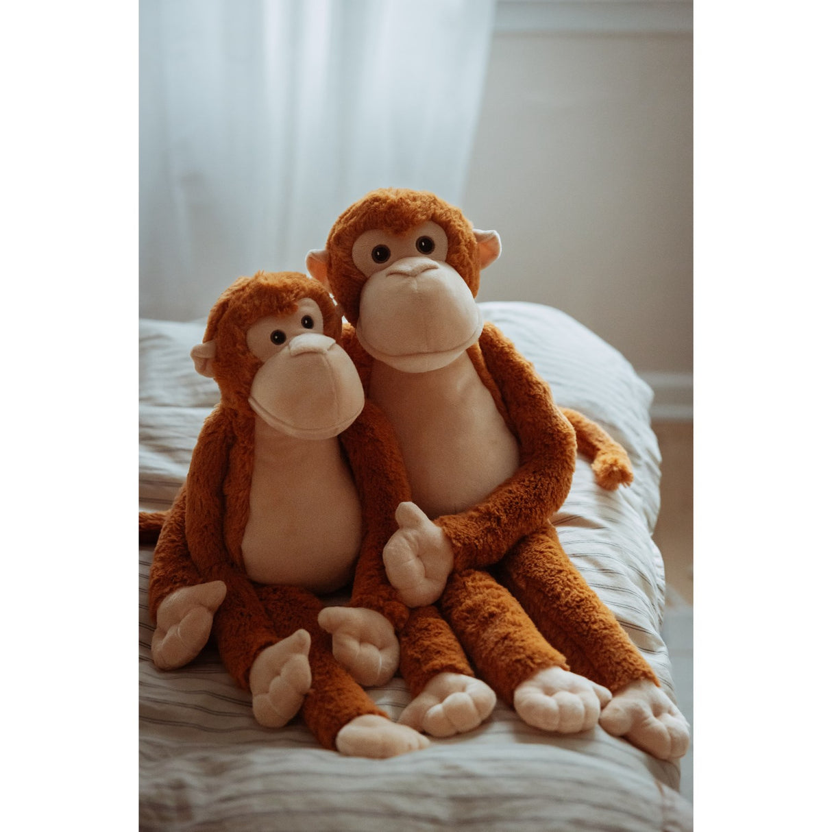 작성자 : Astrup Gravity, 원숭이, 1.1kg.