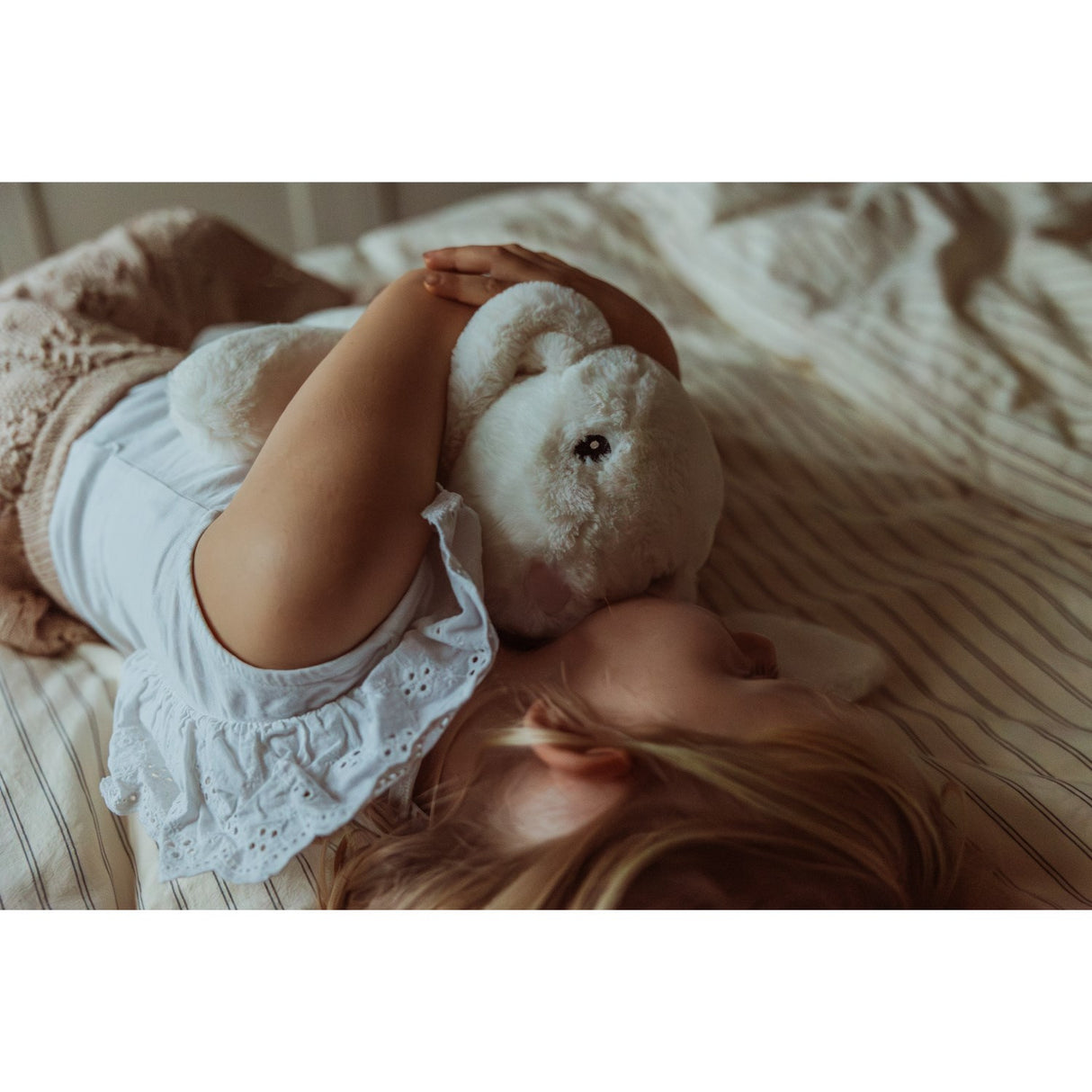 Astrup Gravitational Animal, 토끼, 1.2kg.