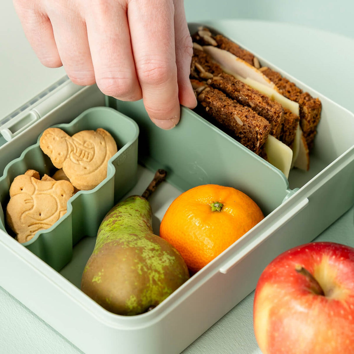 DonebyDeer Green Lunch Box With Opdeler Playground