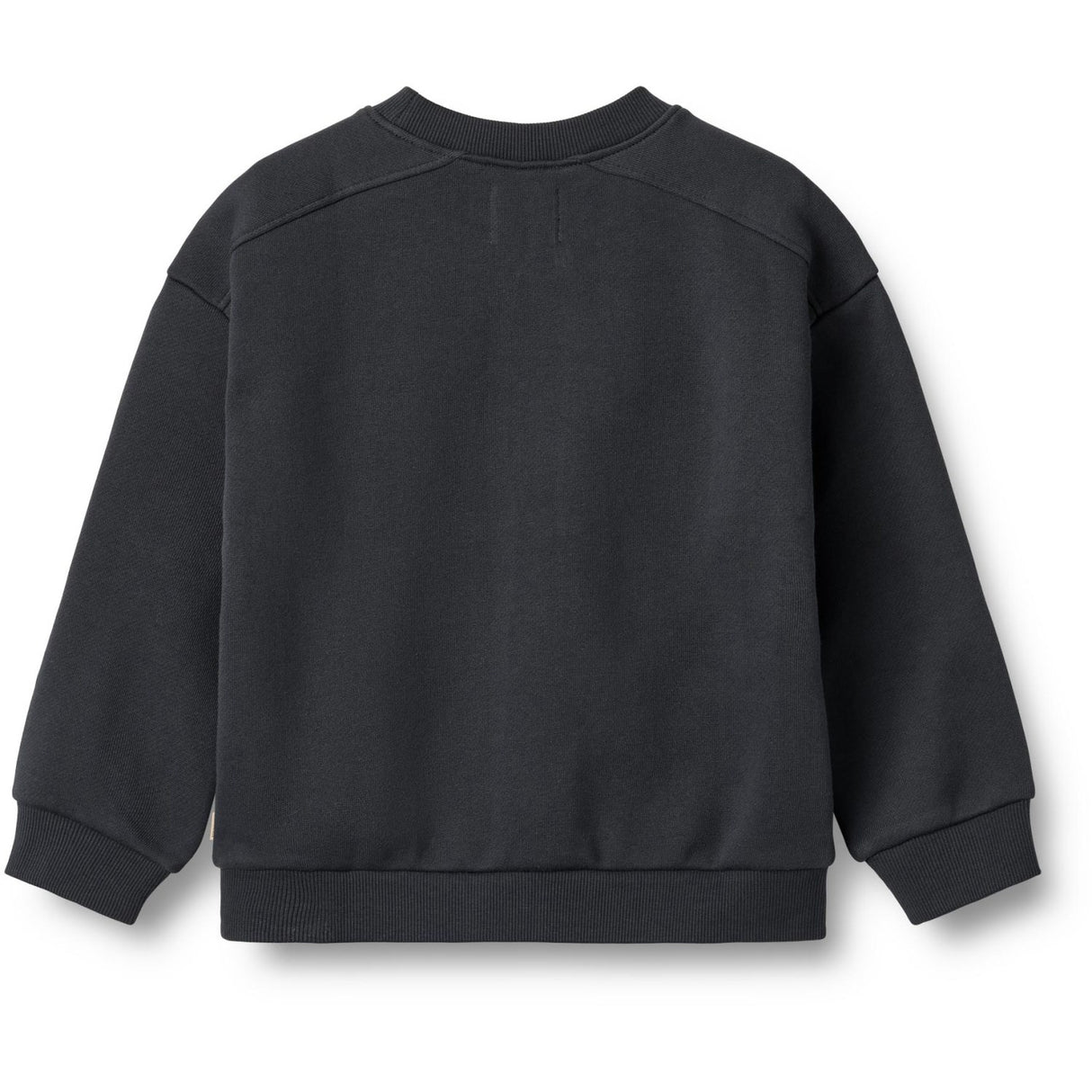 Wheat Navy Sweatshirt L/S Sander
