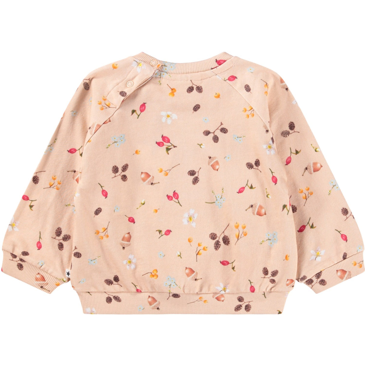 Molo Foraging Rose Disc Sweatshirt