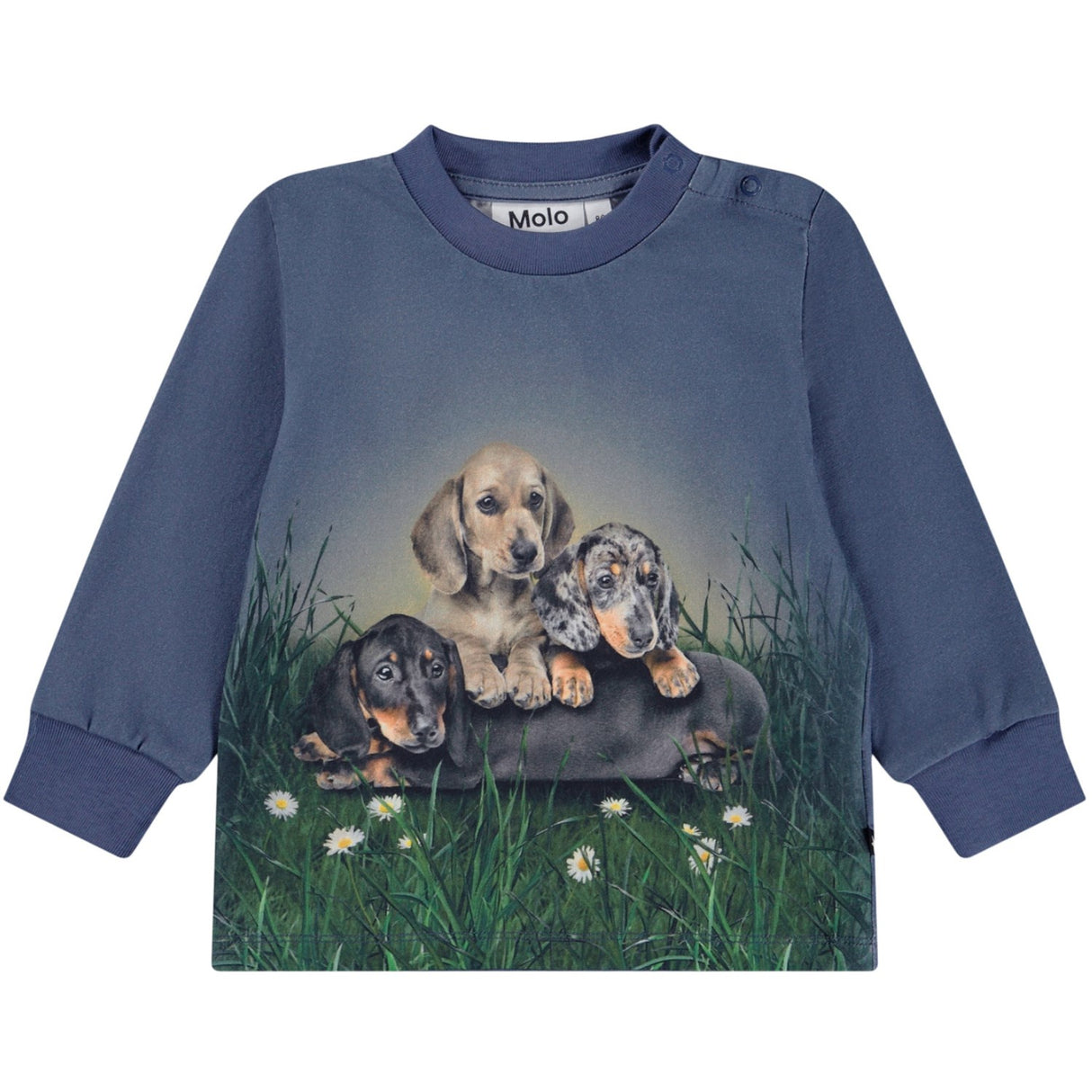 Molo Dachshund Cubs Eloy Blouse