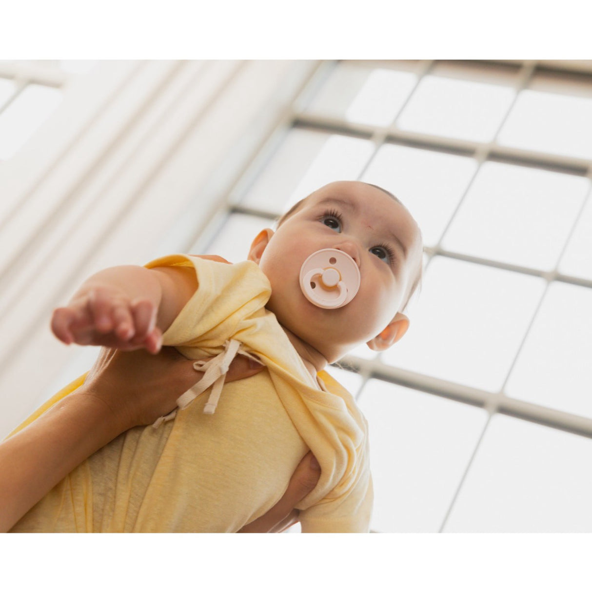 Bibs Blush Pacifier Studio Colour 2-Pack Fusion Latex Woodchuck Mix