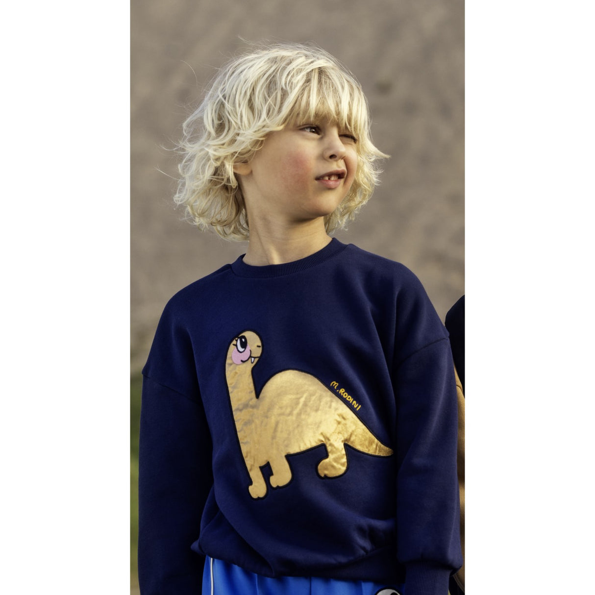 Mini Rodini Blue Dino Application Sweatshirt