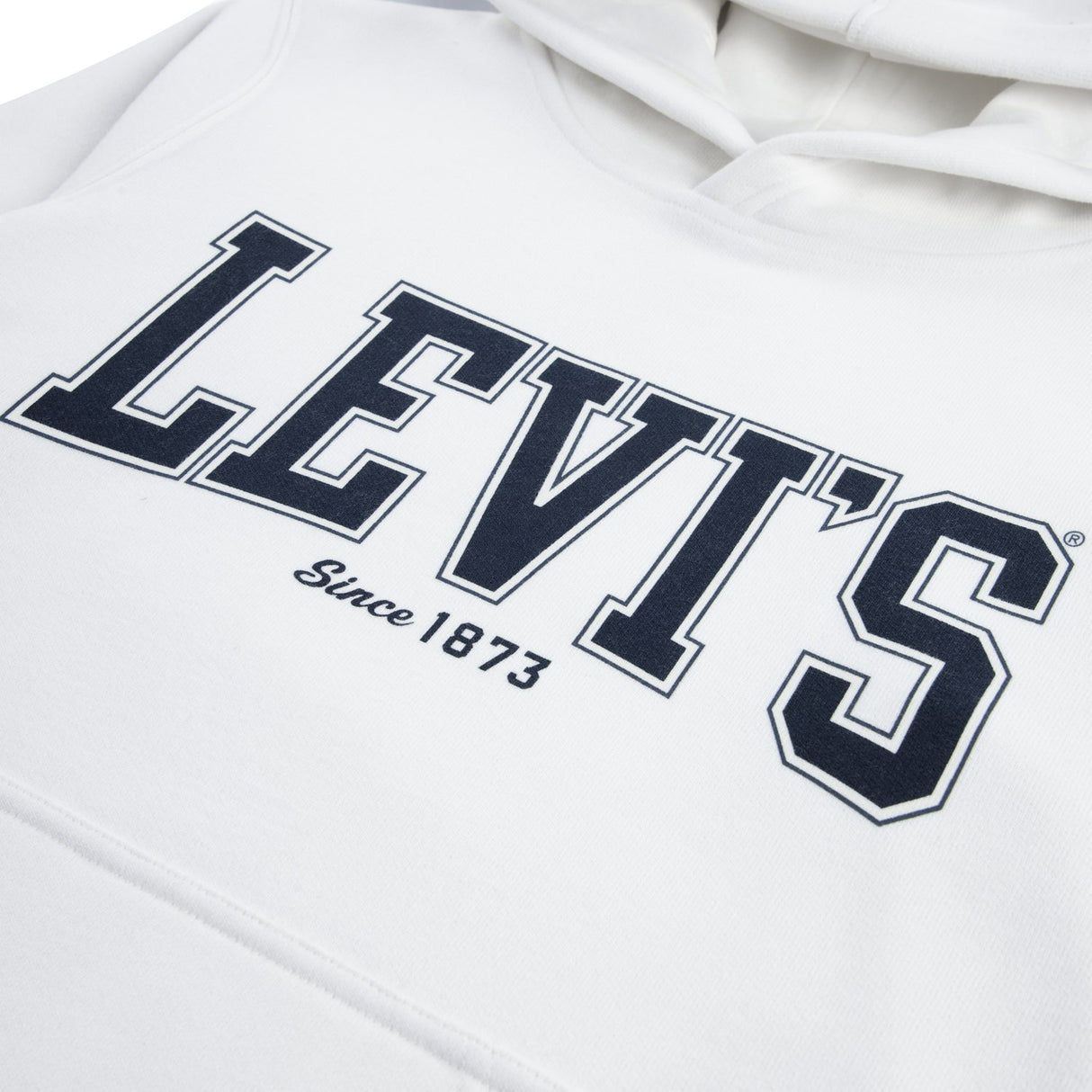 Levi's Blanc De Blanc The Great Highway Hoodie
