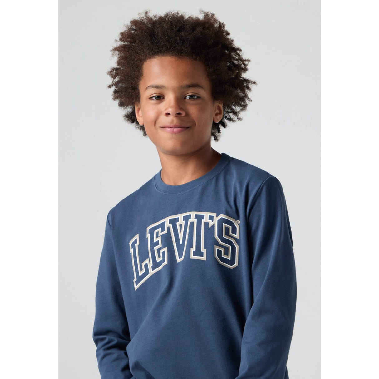 Levi's Big Dipper Collegiate Ls Tee