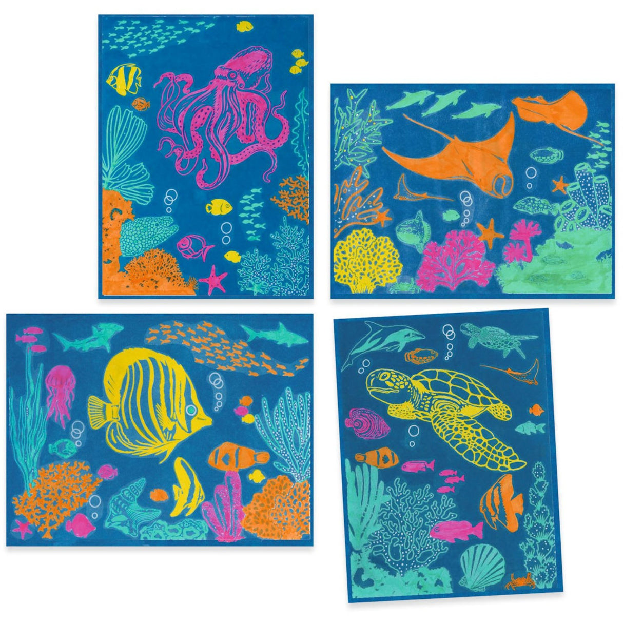 Djeco 시아노타입/라이트 프린트, 바다