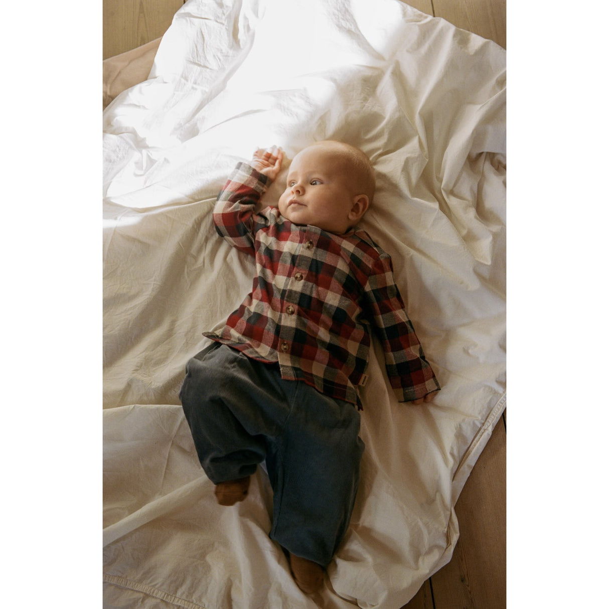 Wheat Red Blue Check Shirt Shelby