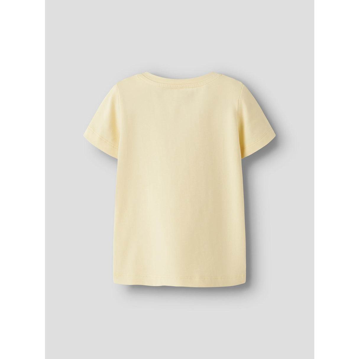 Name It Pear Sorbet Nmfdottas Ss Top