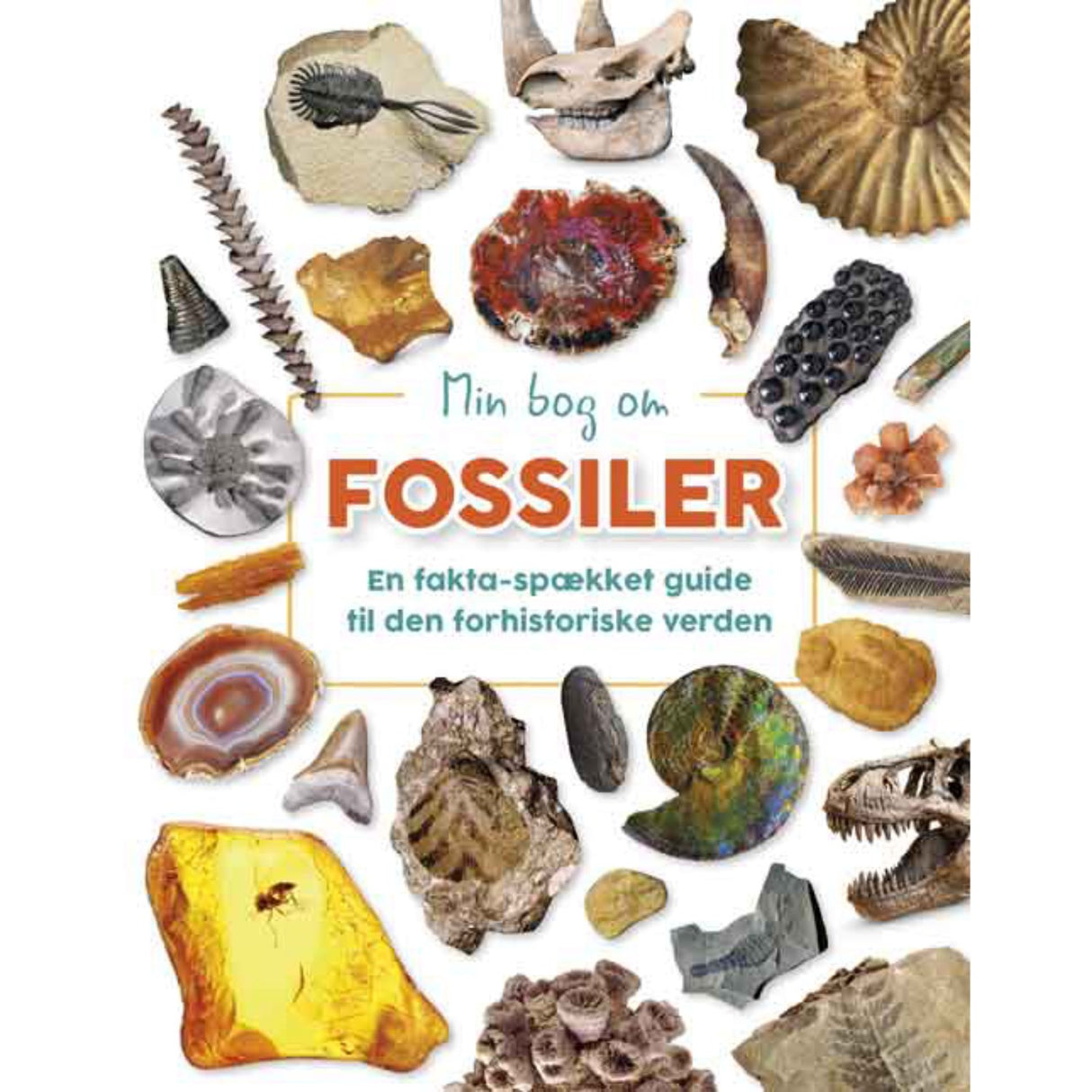 Forlaget Bolden Min Book Om Fossiler