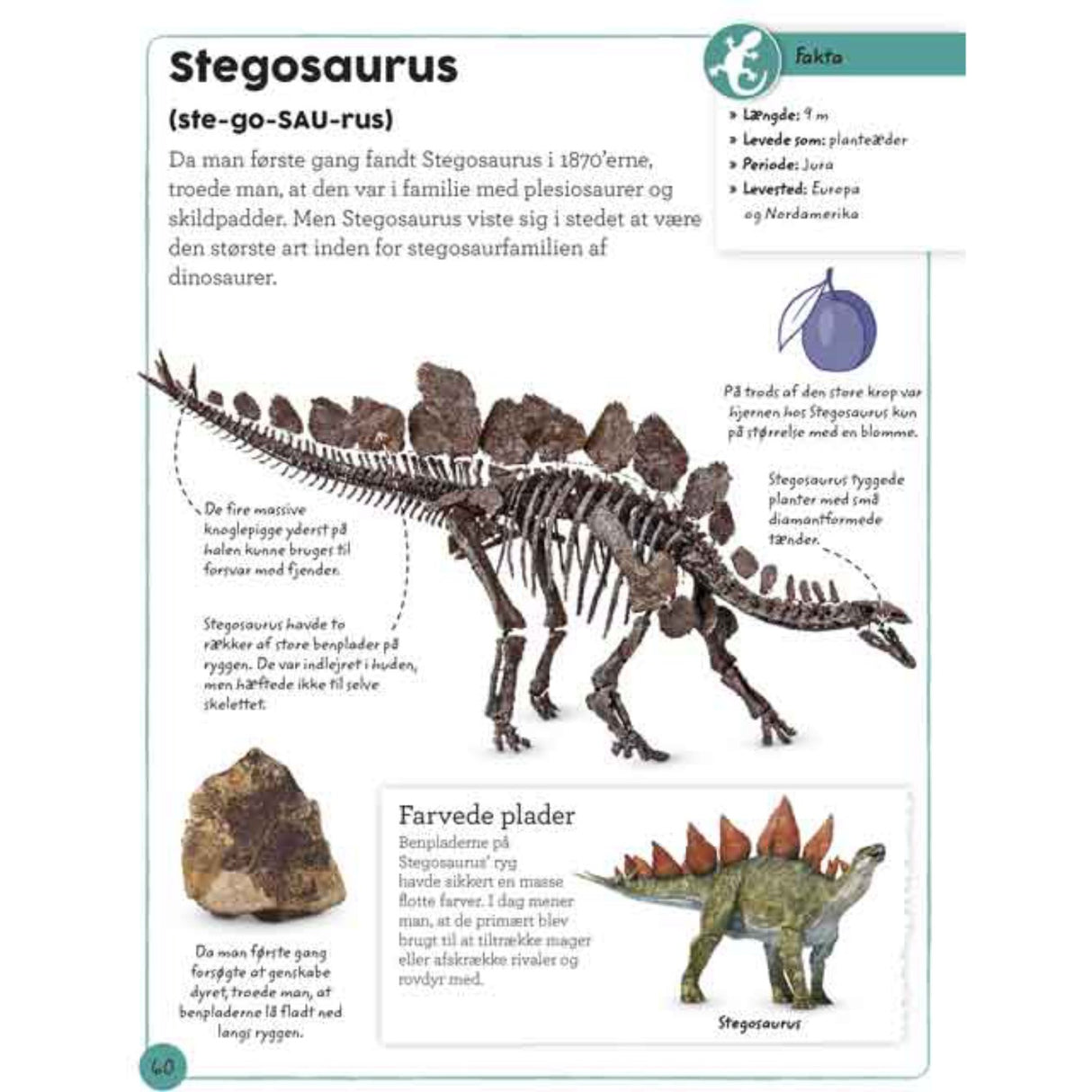 Forlaget Bolden Min Book Om Fossiler