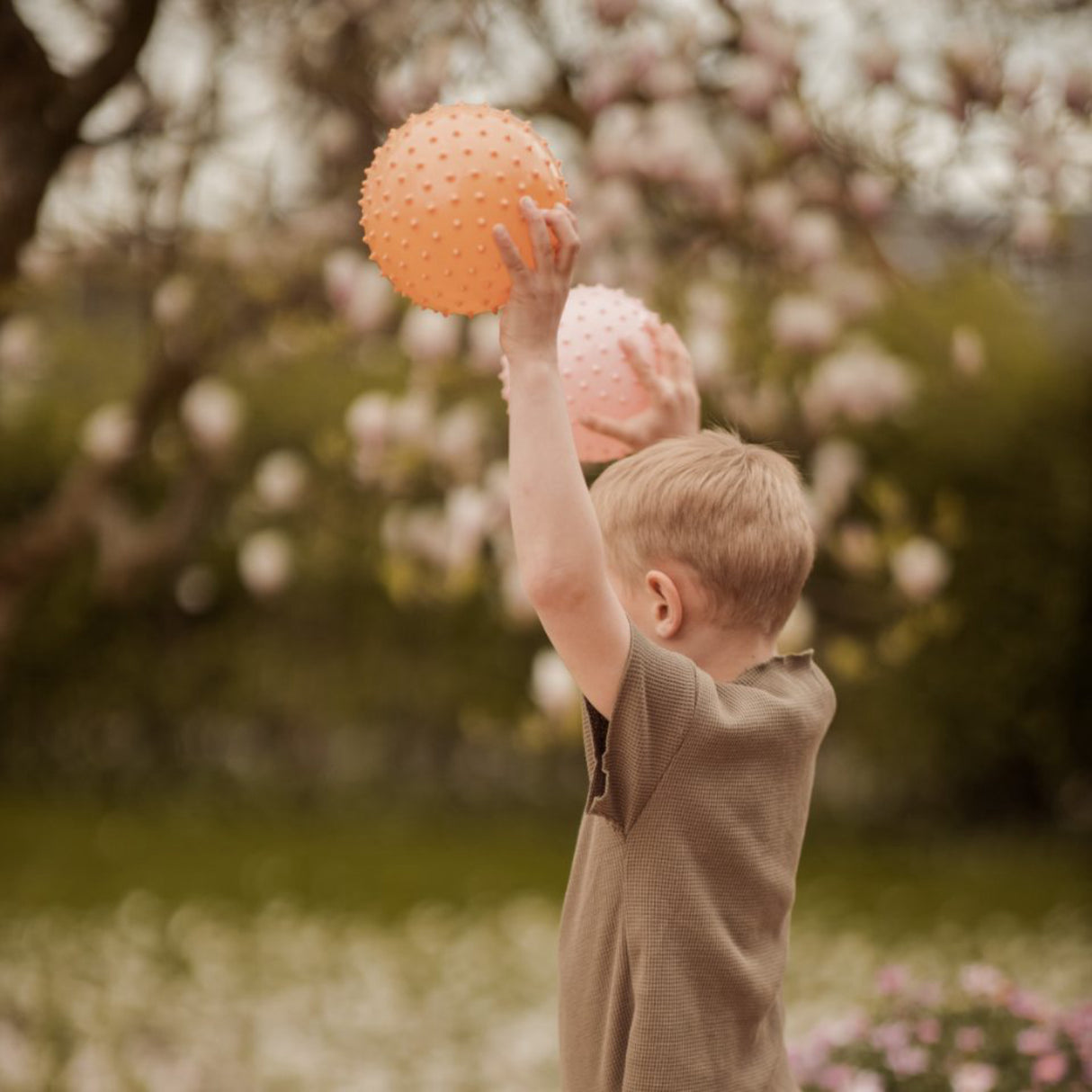 Find that Hippo Sanse-Bolde - Set With 2 Stk., Farver Buff & Rosy Brown