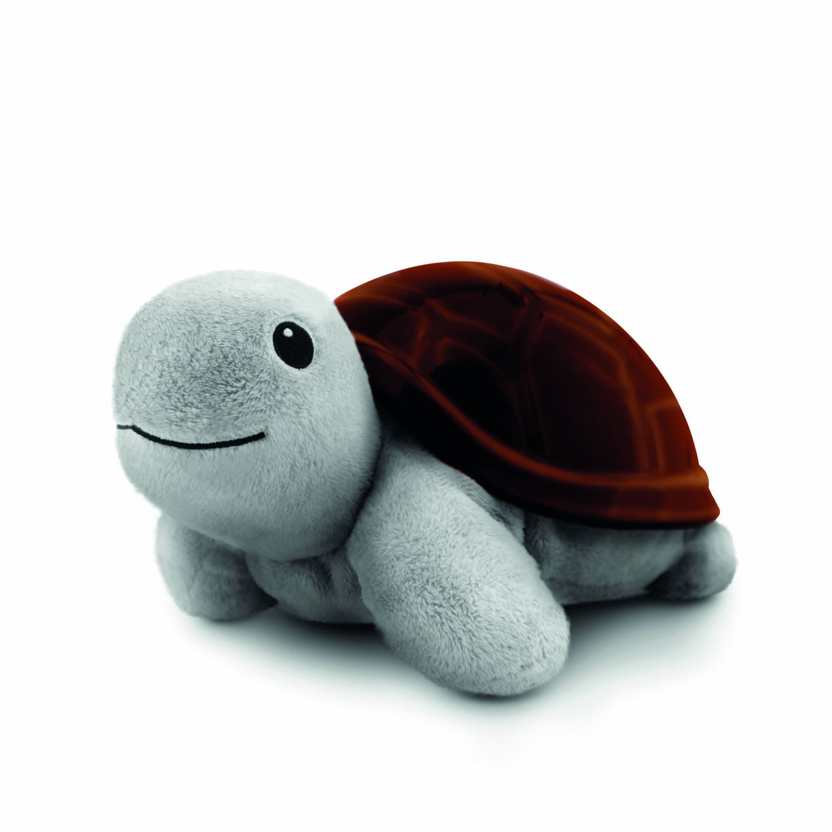 Zazu Brown Tim The Turtle Projector