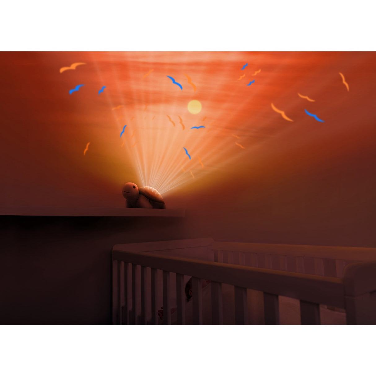 Zazu Brown Tim The Turtle Projector